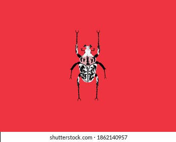 Vector illustration of scarab beetle.