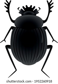Vector illustration of a scarab beetle