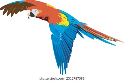 Vector illustration Scarlet Macaw large yellow red and blue Neotropical parrot