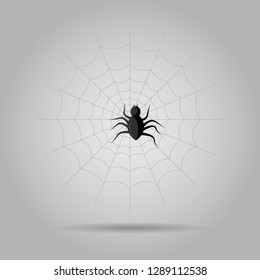 Vector illustration of Scary hairy black spider on web