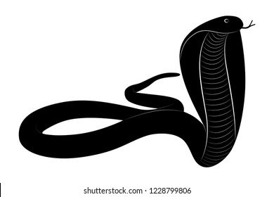 Vector illustration for the scary predator the king cobra snake in black and white