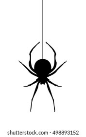 vector illustration of a scary spider silhouette