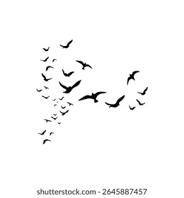 Vector illustration of a scattered flock of birds flying in various directions on a white background. The black silhouettes create a dynamic and artistic sense of motion, freedom, and natural flight. 