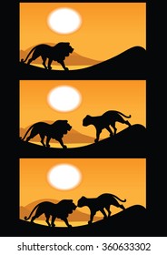 Vector illustration scene sunrise in savannah, couple lions