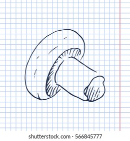 vector illustration scetch champignon
