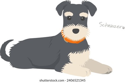 Vector illustration of schnauzer dog