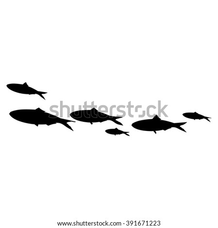 Vector illustration school of fish swimming in group. Sardines black silhouette
