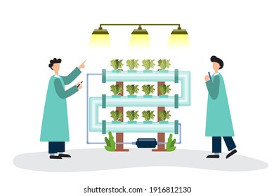 Vector illustration Scientists viewing and hydroponic plants to research hydroponics indoors. In the future can do home gardening Everyone can easily become agricultural