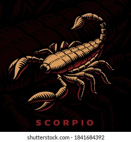 A vector illustration of Scorpio zodiac sign, isolated on dark background.