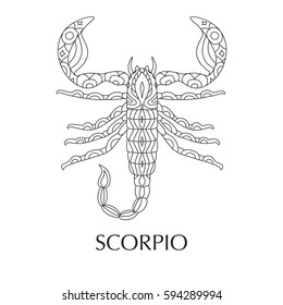 Vector illustration of scorpio, zodiac sign. Tattoo, coloring page, t-shirt, card, poster, print design.