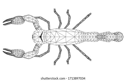 Vector illustration of a scorpion. Abstract linear insect.