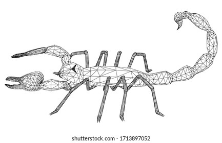 Vector illustration of a scorpion. Abstract linear insect.