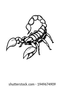 Ilustración vectorial de un escorpión. Vector de escorpión. 

Se puede usar como dibujo para un tatuaje. Afiche de estilo blanco y negro.