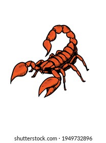 Vector illustration of a scorpion. Scorpion vector. Can be used as a sketch for a tattoo. Poster and art svg