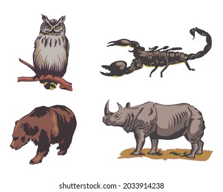 Vector illustration of scorpion, owl, bear, and rhinoceros isolated on white background