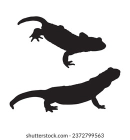 Ilustración vectorial de Silueta Escorpión