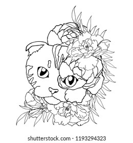Vector illustration. Scottish cat in peonies. Black and White sketch of tattoo. Tattoo cat in flowers. Tattoo peonies.