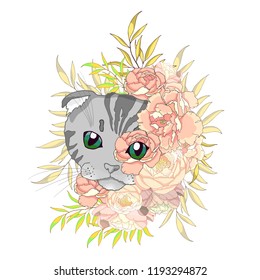 Vector illustration. Scottish cat in peonies. Color sketch of tattoo. Tattoo cat in colors. Tattoo peonies.