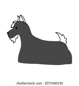 Vector illustration of a Scottish terrier dog in doodle style on a separate background
