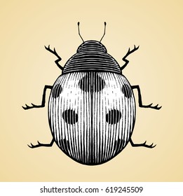 Ilustración vectorial de un dibujo de tinta de estilo de cartón con relleno blanco