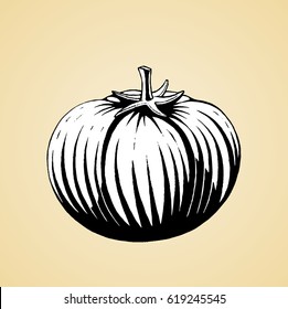 Vector Illustration of a Scratchboard Style Ink Drawing of a Tomato with White Fill