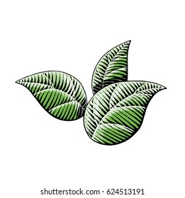 Ilustración vectorial de un dibujo de tinta y acuarela del estilo de cartón de hojas
