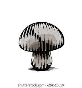 Vector Illustration of a Scratchboard Style Ink and Watercolor Drawing of a Mushroom