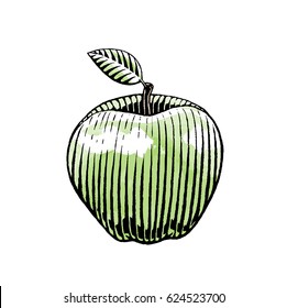 Vector Illustration of a Scratchboard Style Ink and Watercolor Drawing of an Apple