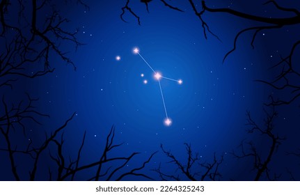 Vector illustration Scutum constellation. Tree branches, dark blue starry sky, cosmos. Illustration of constellation scheme Scutum