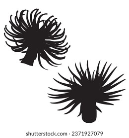 Vector Illustration of Sea Anemone Silhouette