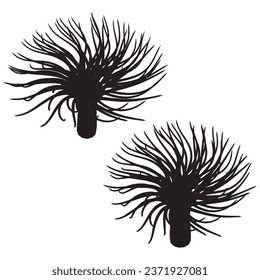 Vector Illustration of Sea Anemone Silhouette