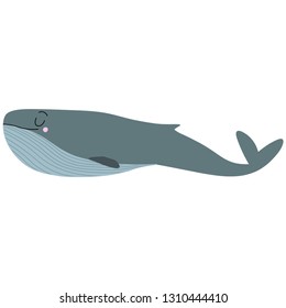 Vector illustration with sea animal - cartoon whale, underwater world and wildlife, ocean cute character, nursery postcard or poster template with sea animal. Isolated image of a whale.