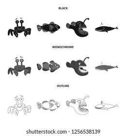 Vector illustration of sea and animal icon. Set of sea and marine stock vector illustration.
