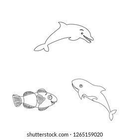 Vector illustration of sea and animal icon. Set of sea and marine stock symbol for web.