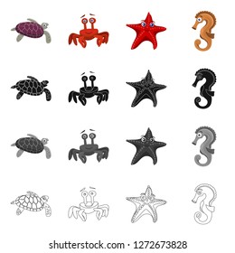 Vector illustration of sea and animal icon. Collection of sea and marine stock vector illustration.