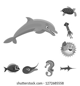 Vector illustration of sea and animal icon. Set of sea and marine vector icon for stock.