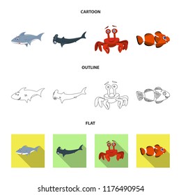Vector illustration of sea and animal logo. Collection of sea and marine stock symbol for web.