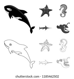 Vector illustration of sea and animal logo. Set of sea and marine stock symbol for web.