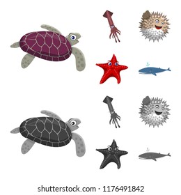 Vector illustration of sea and animal sign. Collection of sea and marine stock vector illustration.