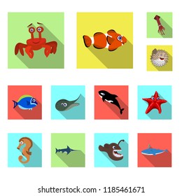 Vector illustration of sea and animal sign. Collection of sea and marine stock vector illustration.