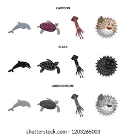 Vector illustration of sea and animal symbol. Collection of sea and marine stock symbol for web.
