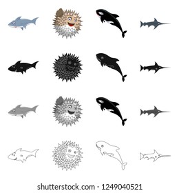 Vector illustration of sea and animal symbol. Collection of sea and marine stock vector illustration.