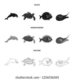Vector illustration of sea and animal symbol. Set of sea and marine stock symbol for web.