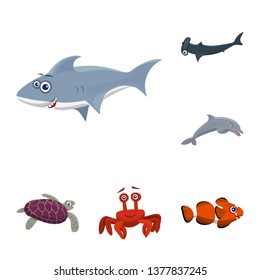 Vector illustration of sea and animal symbol. Set of sea and marine stock symbol for web.