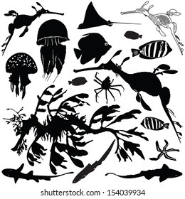 Vector illustration of sea animals silhouettes set