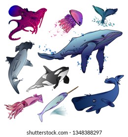 Vector illustration of sea animals. Sketch. Watercolor. Black outline. Isolated on white background.