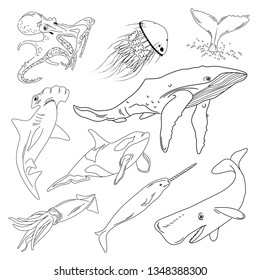 Vector illustration of sea animals. Sketch. Black outline. Isolated on white background.