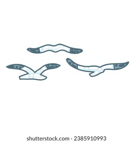 vector illustration of sea bird