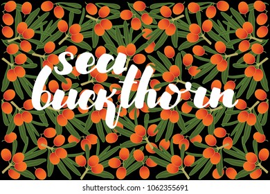 vector illustration of sea buckthorn and leaf design with lettering sea buckthorn background black and berry and text fresh farm product 100% natural for you EPS10