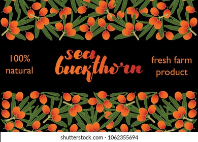 vector illustration of sea buckthorn and leaf design with lettering sea buckthorn background black and berry and text fresh farm product 100% natural for you EPS10